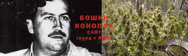 гидропоника Осинники