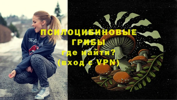 стаф Чекалин